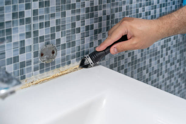 Best Emergency Mold Remediation in Malibu, CA