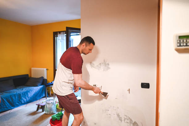 Best Crawl Space Mold Remediation in Malibu, CA
